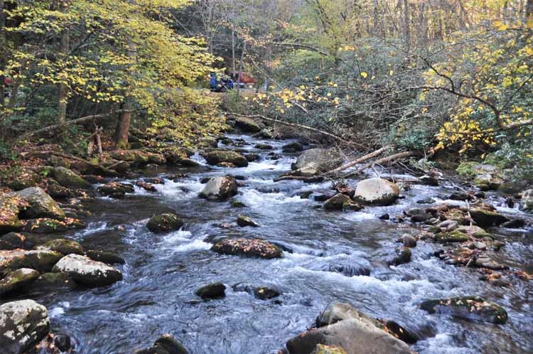 stream